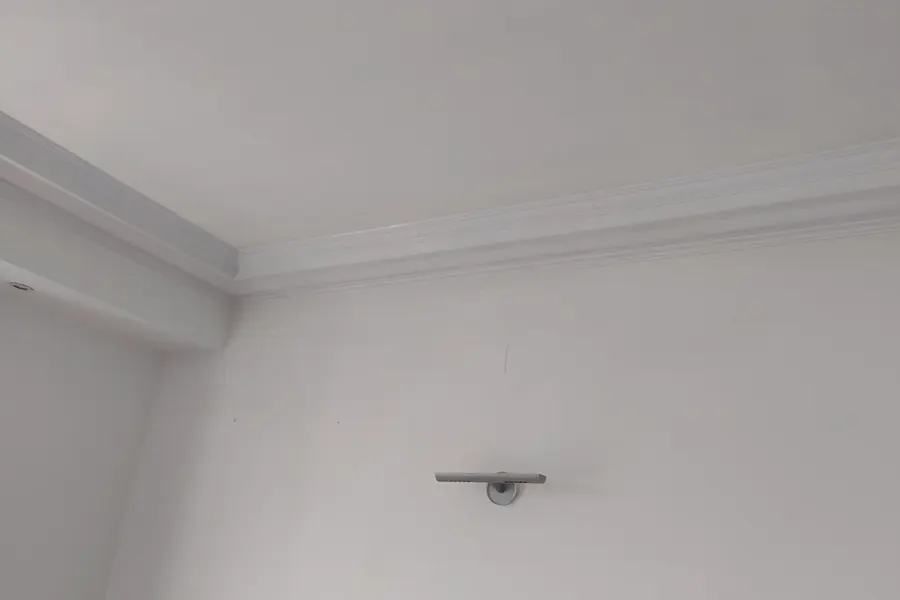 Pintores de casas en Sant Boi de Llobregatón) - Varmany